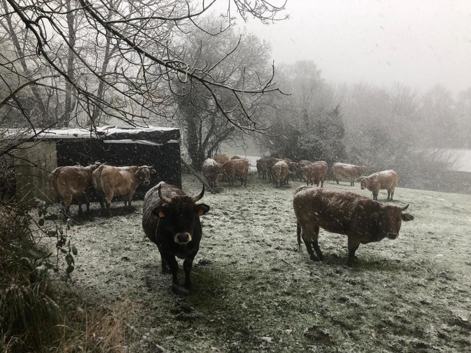 Las imágenes del temporal en Asturias