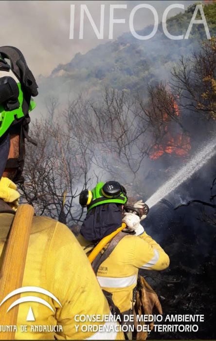 Declarado un incendio forestal en Casares