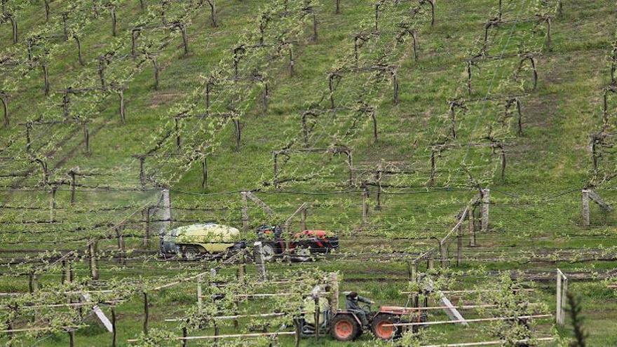 Una tierra fértil: Galicia lidera la rentabilidad agraria pe
