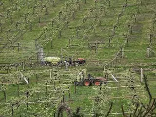 Una tierra fértil: Galicia lidera la rentabilidad agraria peninsular con el mayor beneficio por hectárea