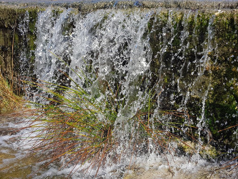 Salt d’aigua. Després de molts anys, a la riera del Pont de Vilomara torna a baixar aigua.