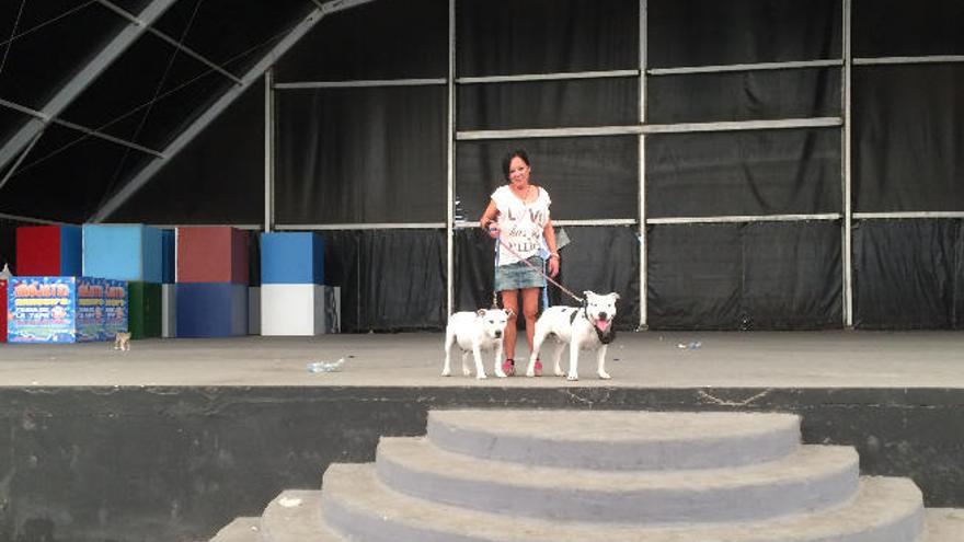 Analisa Di Cerie, el pasado viernes, junto a sus perros en el recinto ferial.