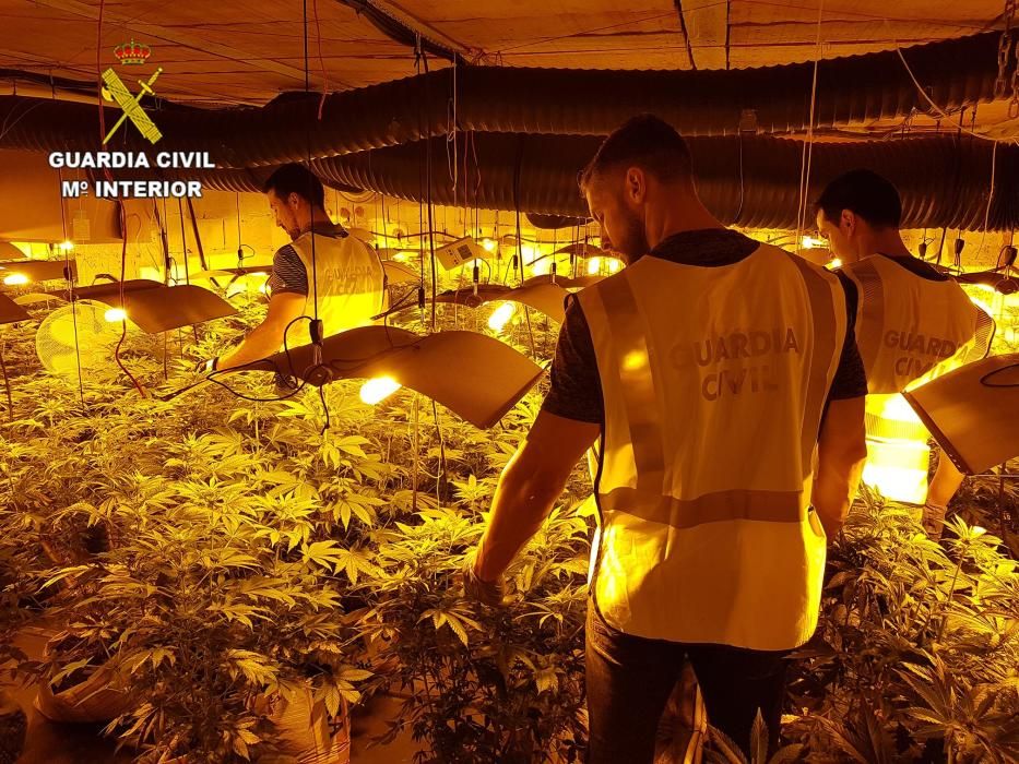 Desarticulada una banda internacional que traficaba con marihuana desde Alicante