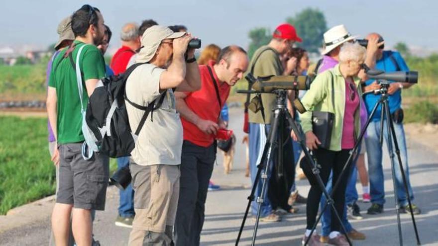 «Setciencies» acerca la ornitología y el cuidado del medioambiente