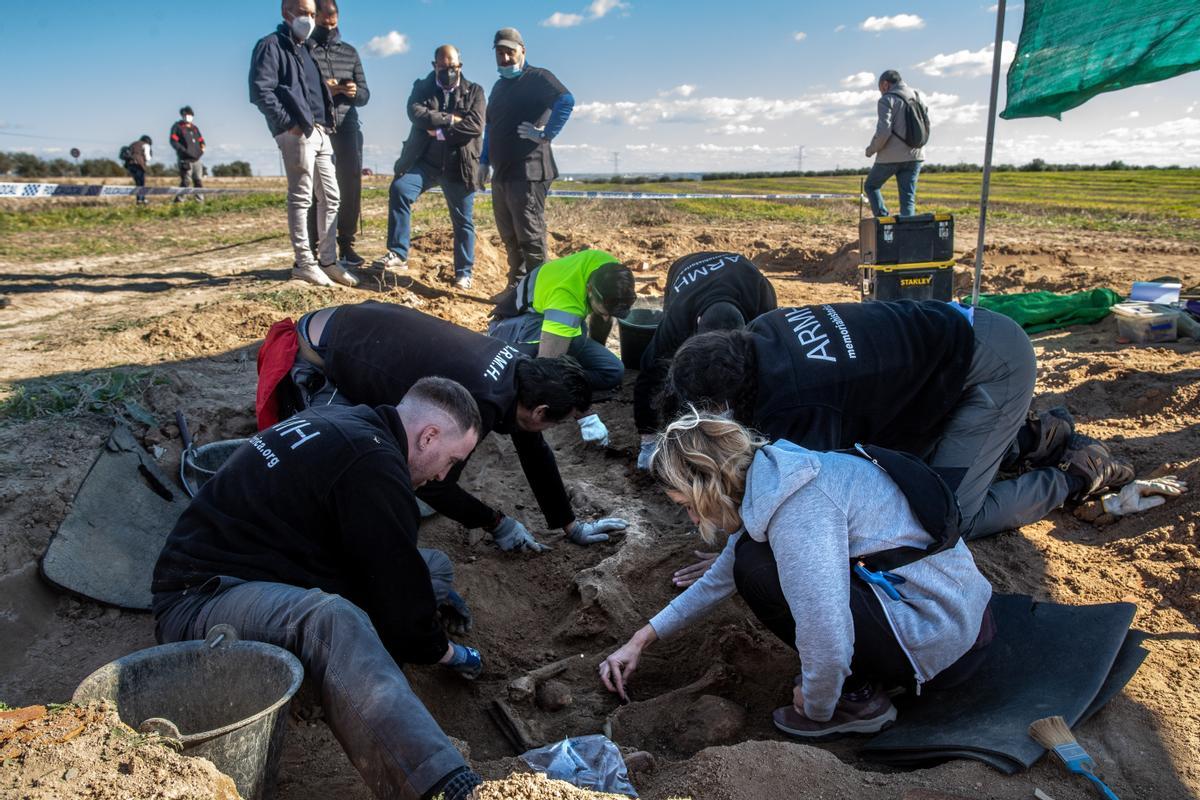 Trabajos de búsqueda y exhumación en la fosa de Recas (Toledo).