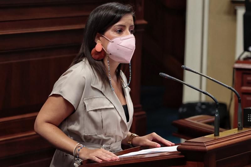 Pleno del Parlamento de Canarias, 17/08/2021