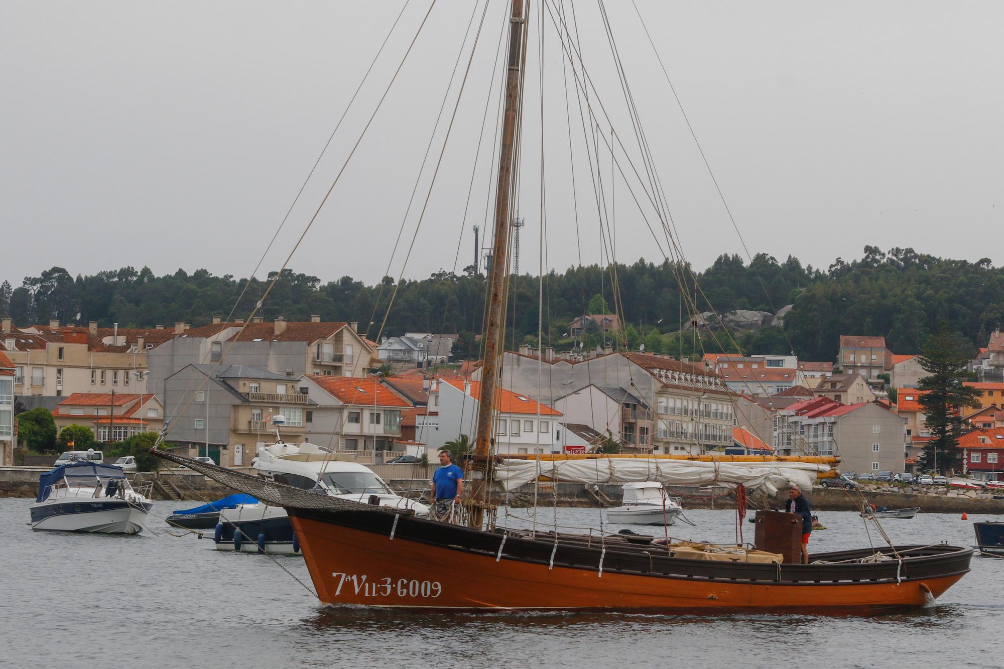 A vela tradicional volve navegar na Arousa