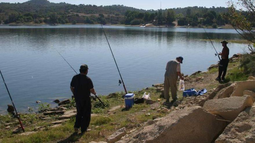 El Plan General de Pesca para 2021 restringe el barbo a la modalidad captura y suelta