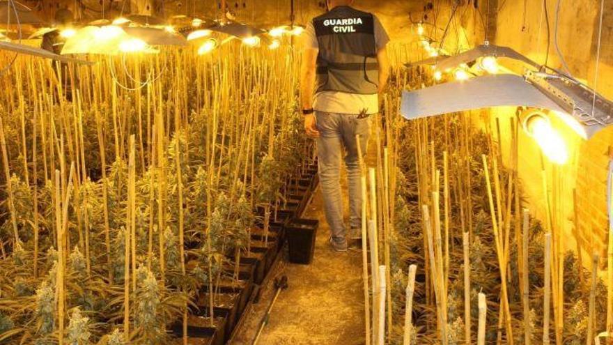 Desmantelada una plantación de marihuana en una nave industrial de Valladolid