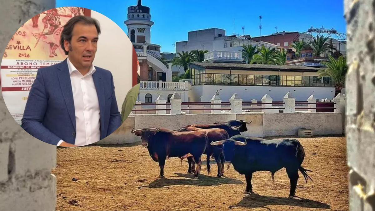 José Luque Teruel, presidente de la Maestranza, aclara la polémica tras el rechazo de varios toros para el Corpus.