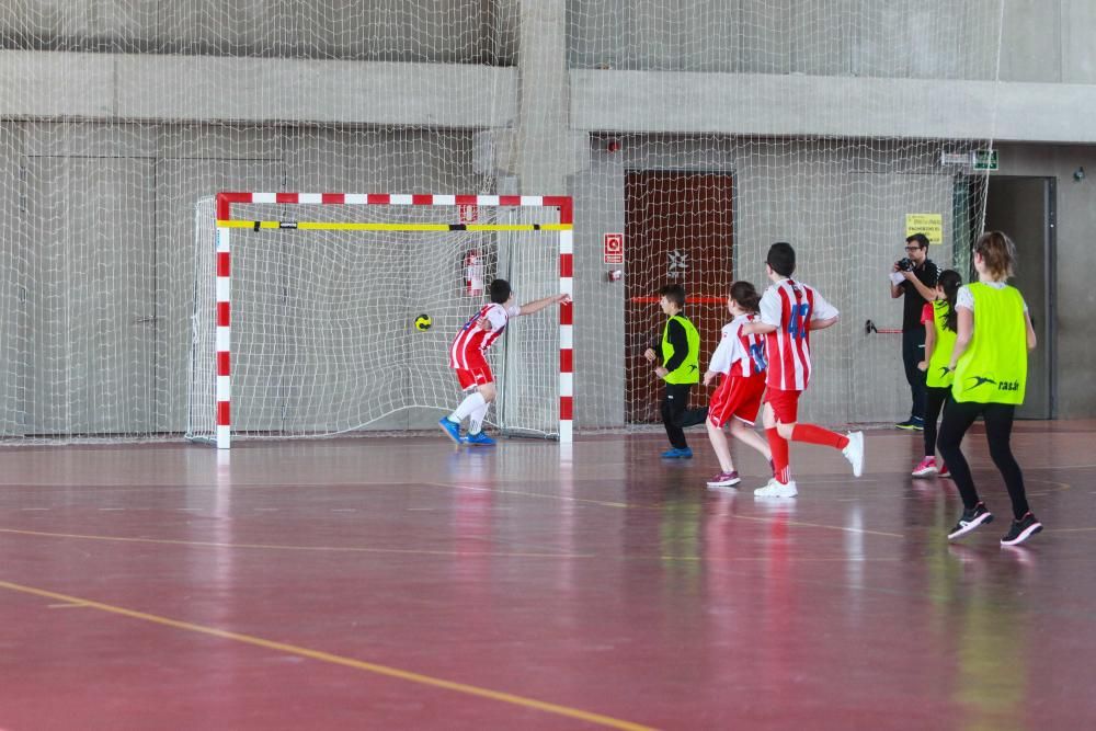 El balonmano se regenera