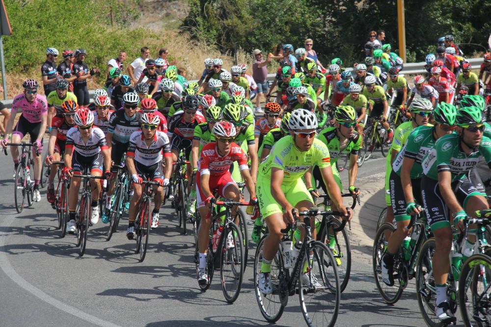 Campeonato de España de ciclismo