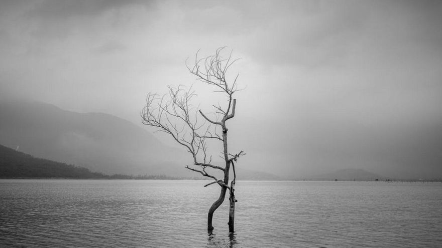 La fotografía «Oxígeno», realizada Lãng Cô, Vietnam, este 2025. | ALFREDO MEDINA