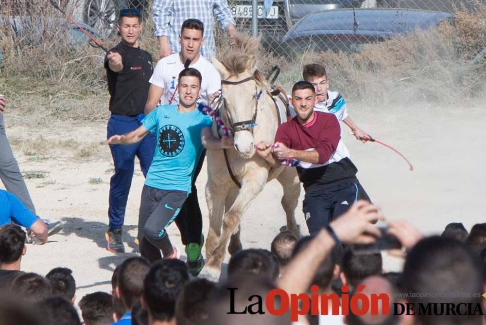 Entrenamiento Caballos del Vino