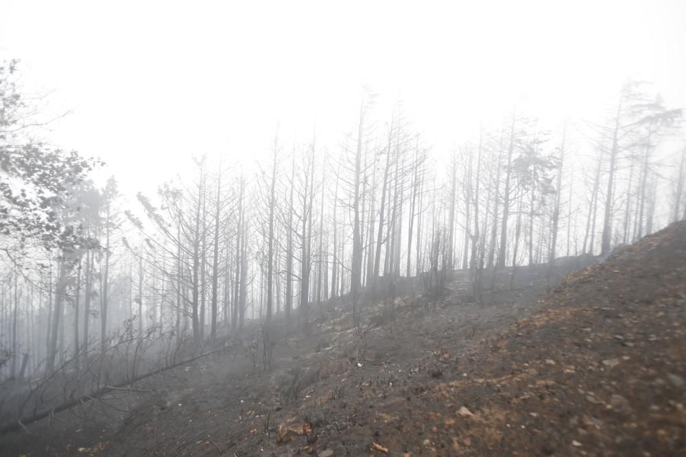 Incendios en Galicia | Vigo, cercado por el fuego