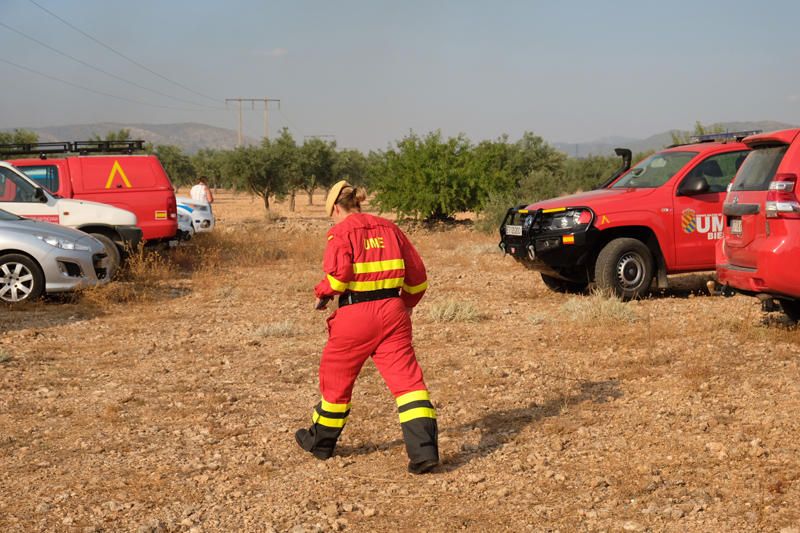 Declarado un incendio en una zona de barranco de Beneixama