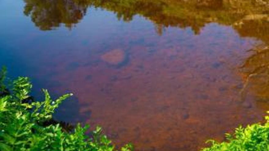 Aielo de Malferit denuncia la contaminación del río Clariano