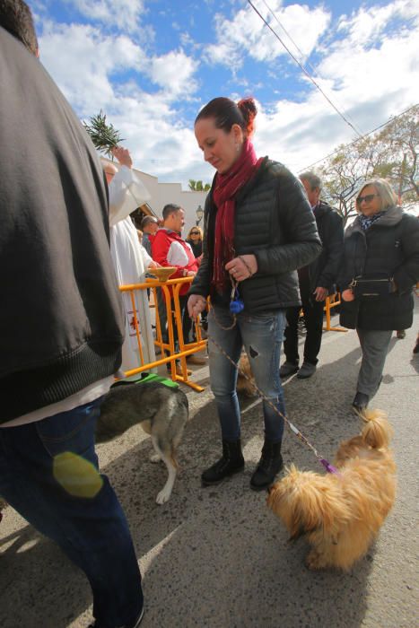 Benidición de animales en la Ermita de Vera y en la Punta