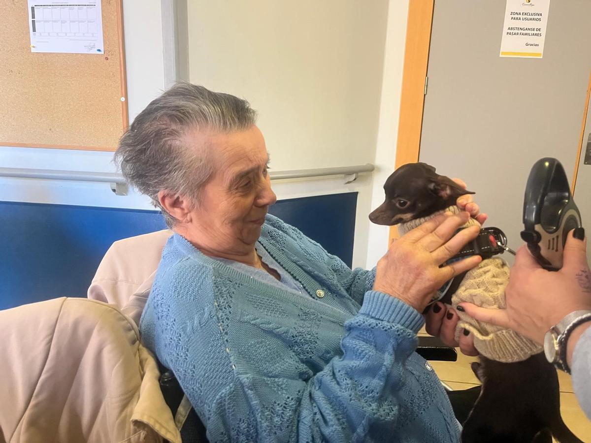 Día de San Antón en Cantallops.