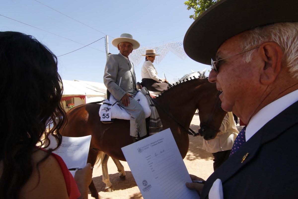 Los mejores en El Arenal