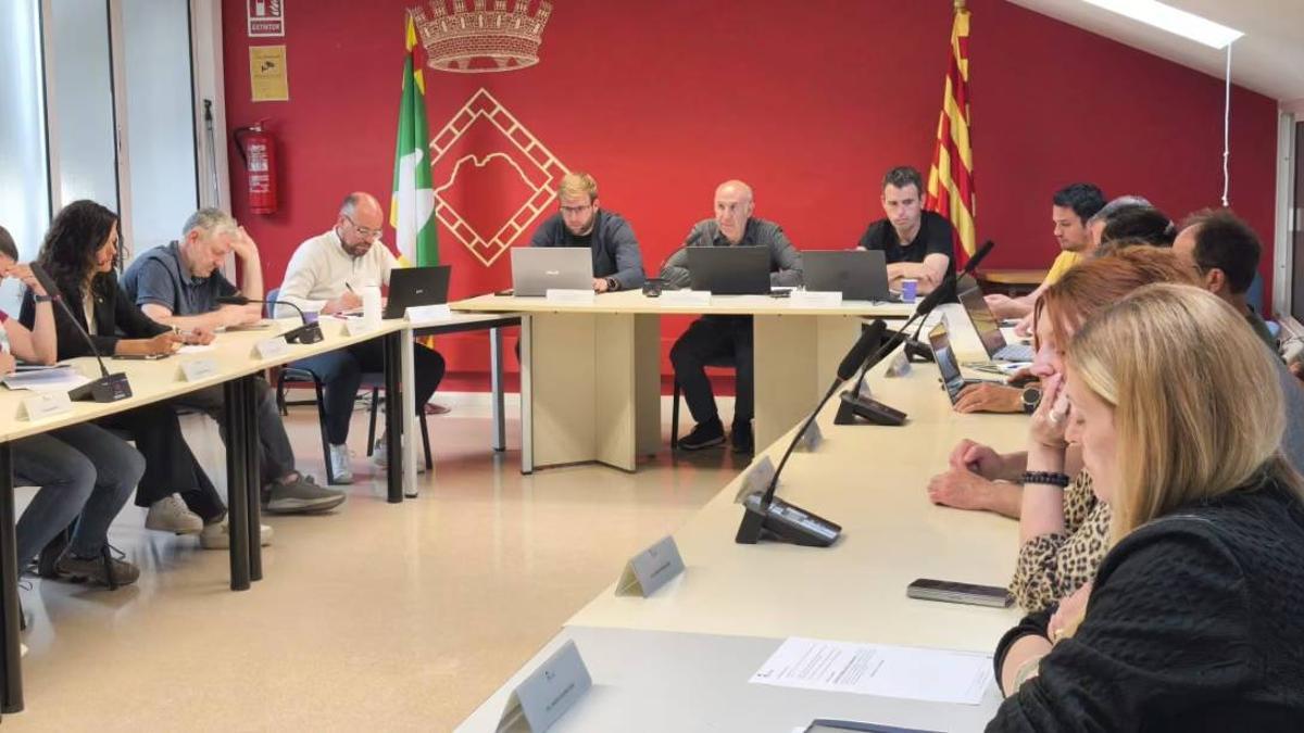 Un instant de la sessió plenària