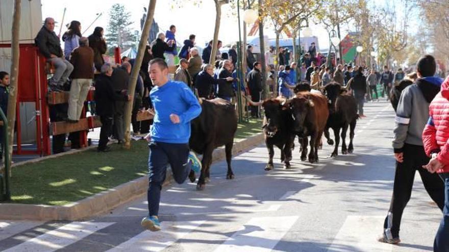 Benicàssim confirma la celebración del Día de las Paellas