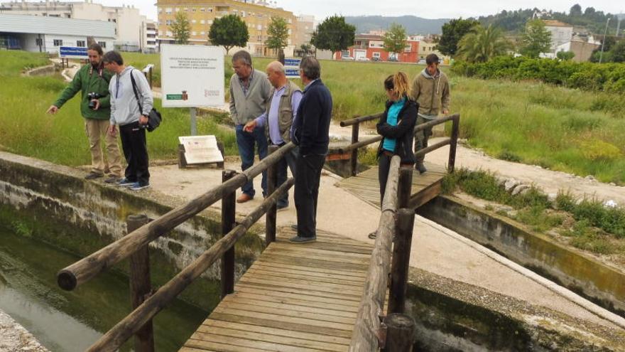 Potries alerta de la pérdida de patrimonio hídrico ante el fin del riego «a manta»