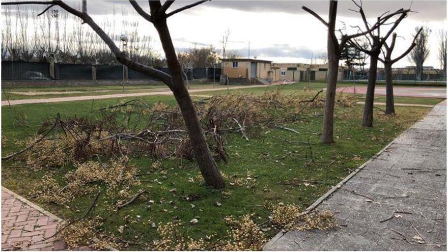 Empiezan los trabajos previos para el nuevo polideportivo