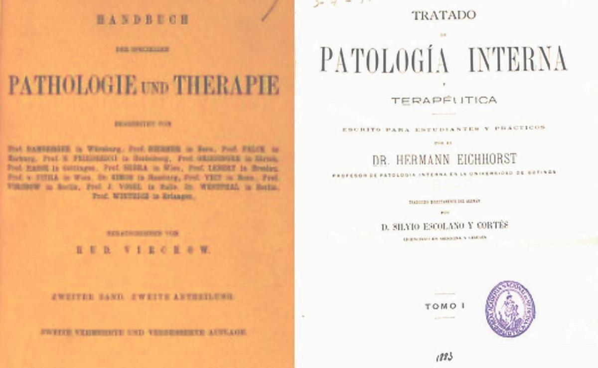 Libro de Eichhorst Hermann. Versión española de Silvio Escolano Cortés con el título de Tratado de patología interna y terapéutica 1883.