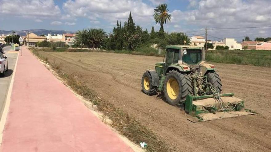 Un tractor en los terrenos adquiridos por el Ayuntamiento de Catral para que se ubique el segundo colegio del municipio.