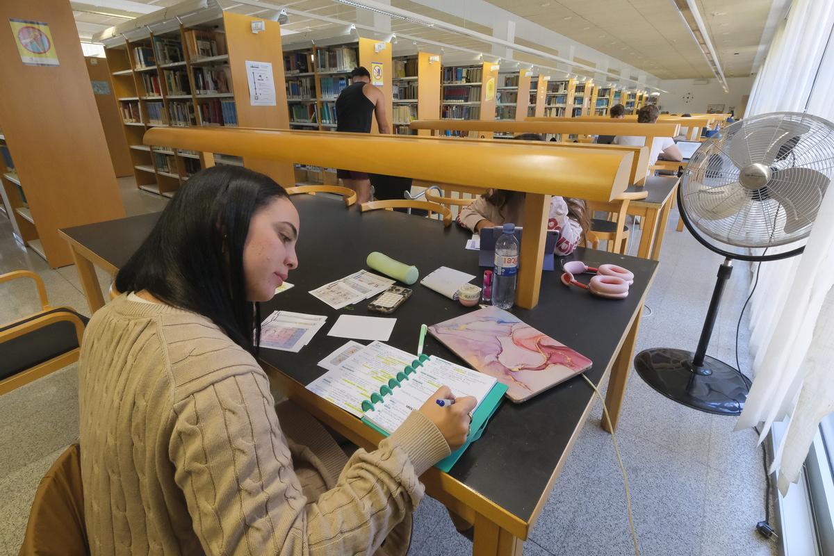 Hazel Alfonso prepara su examen MIR en la biblioteca de Medicina de Las Palmas de Gran Canaria.