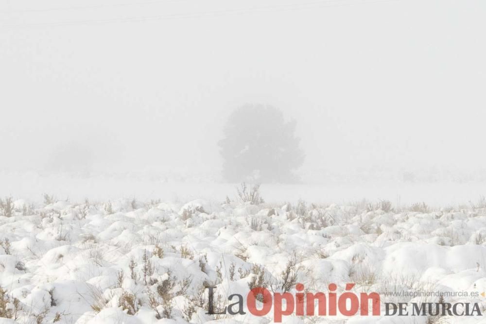 Nieve en la comarca del Noroeste (Pedanía de Los R