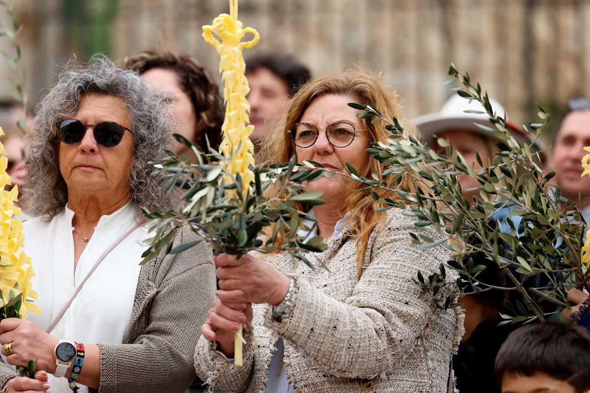 Todas las imágenes de la procesión de la Borriquita en Ibiza