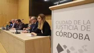 Los delitos contra la libertad sexual cometidos por menores en Córdoba se duplicaron en 2023