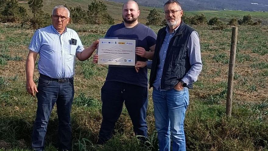 Recuperan parte do monte veciñal de Montecelos con gando de razas autóctonas