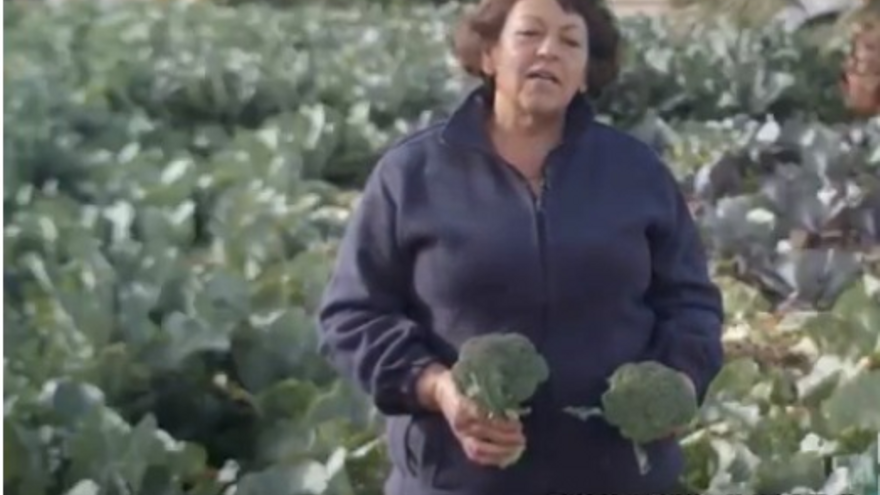 El proyecto Salud con Gusto lanza el segundo vídeo de alimentación saludable