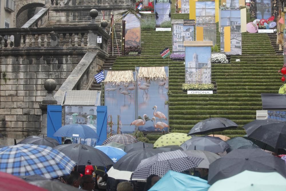 La pluja no desanima l'afluència de públic a «Temps de Flors»