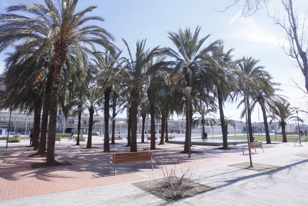 El principal punt de reunió dels joves, darrere l'Estació Jove, al parc Central