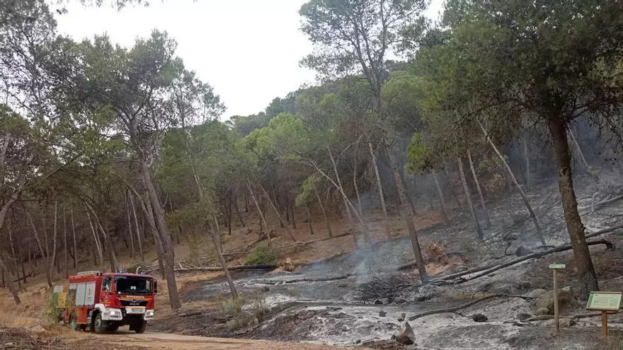 El Infoca combate un incendio forestal en Rute