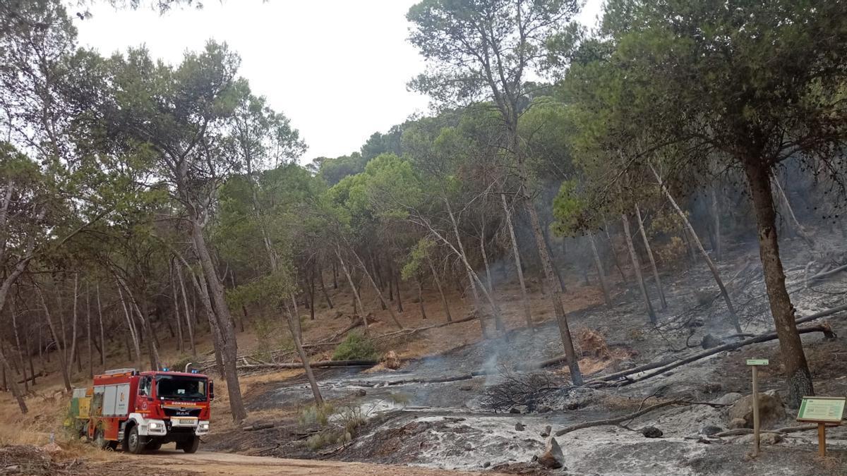 El Infoca combate un incendio forestal en Rute