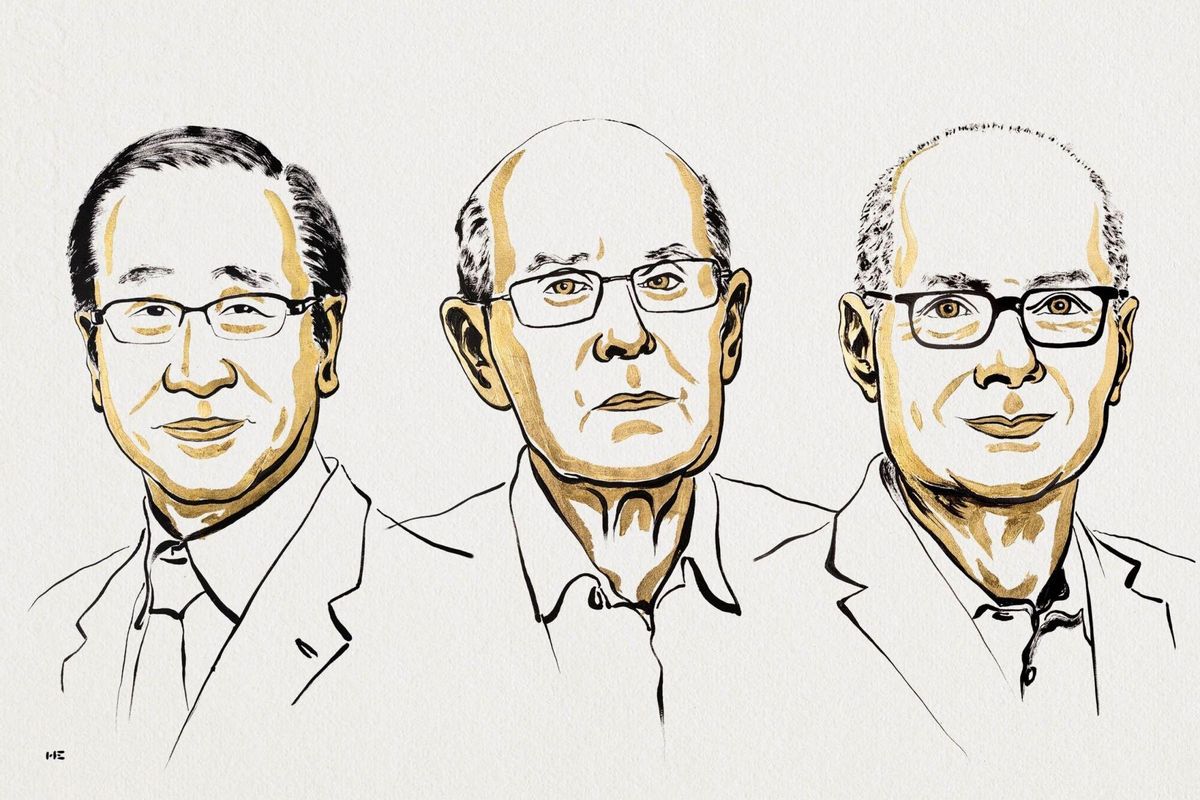 Les estructures metal·loorgàni-ques guanyen el Nobel de Química