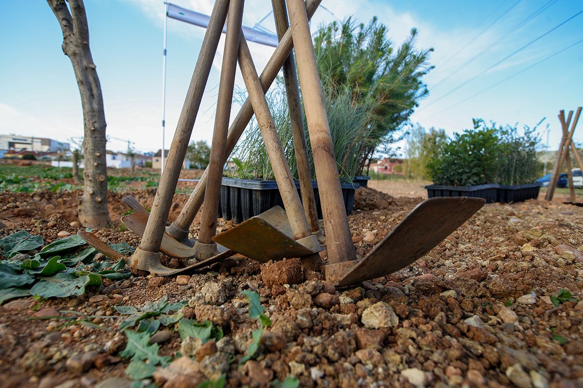 La empresa Fertinyect planta 100 nuevos árboles en el Parque del Flamenco