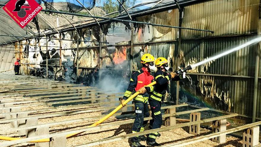 Los bomberos controlan un incendio en un vivero de La Aparecida en Orihuela