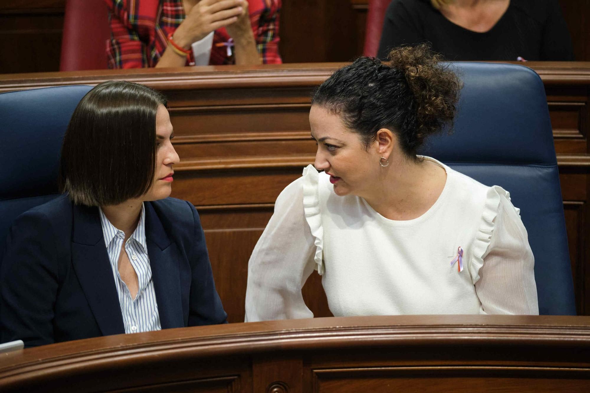 Sesión plenaria del Parlamento de Canarias.