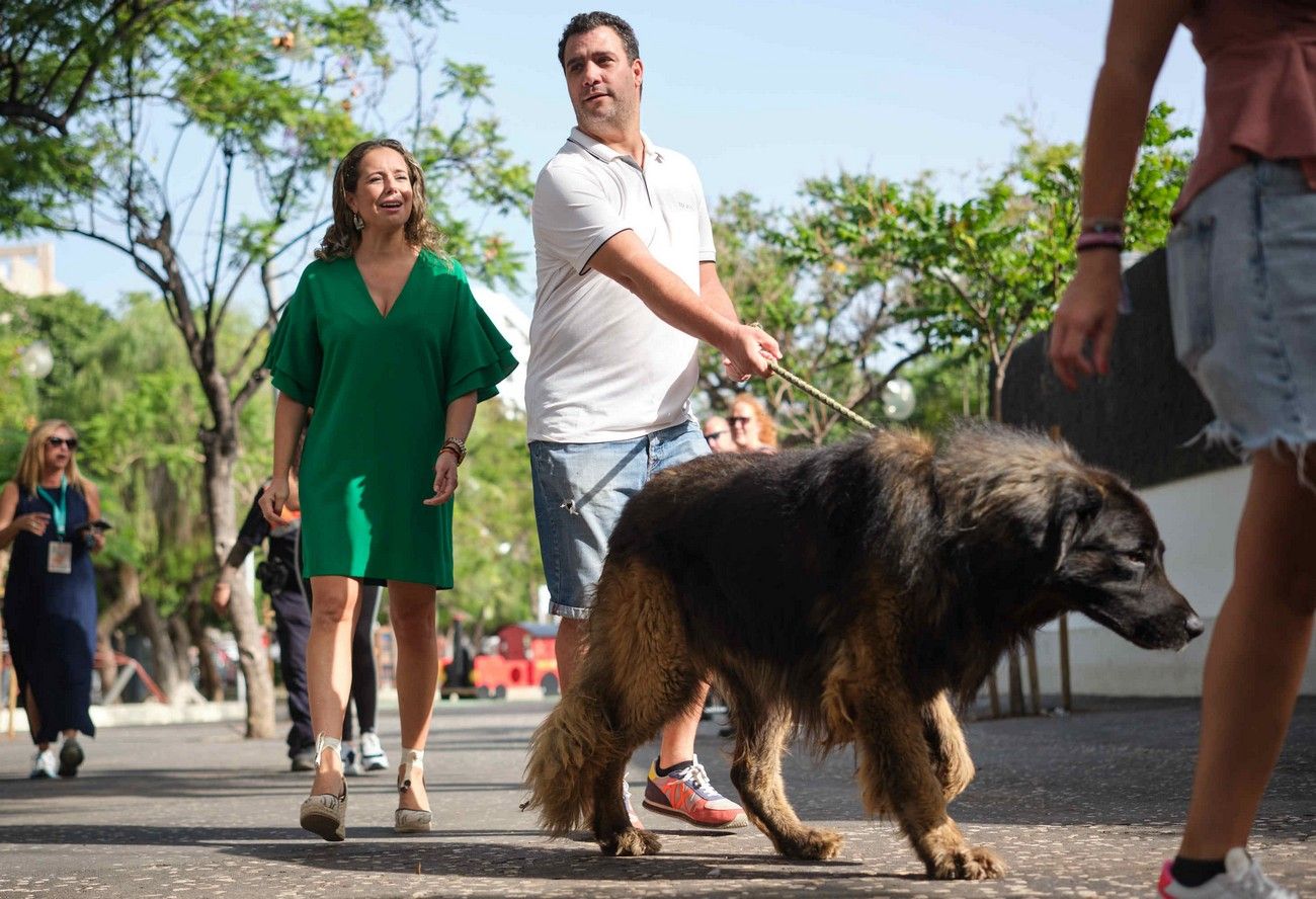 Día de los Animales en Santa Cruz