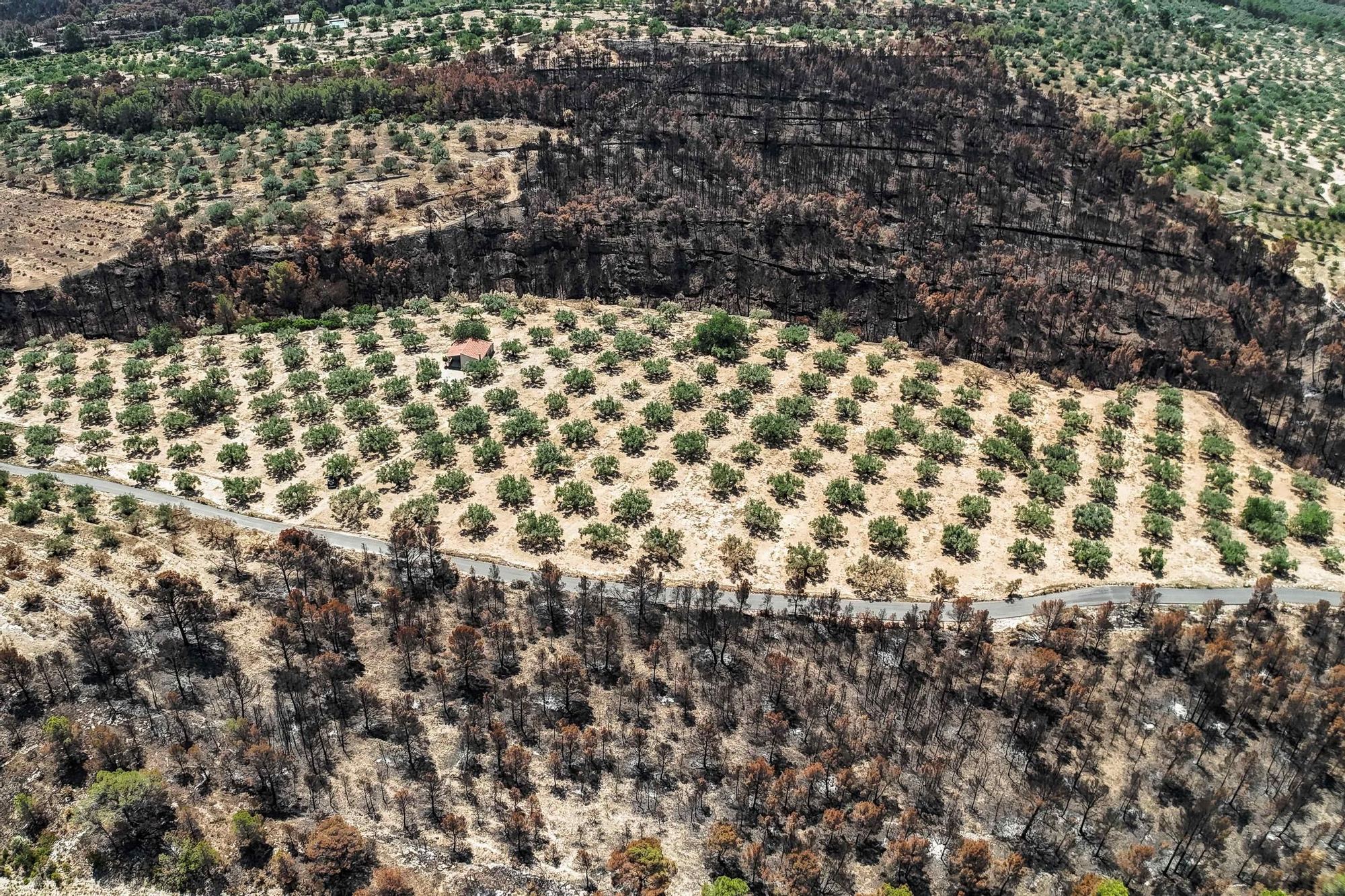 Les fotos de l'incendi de Paüls a vista de dron