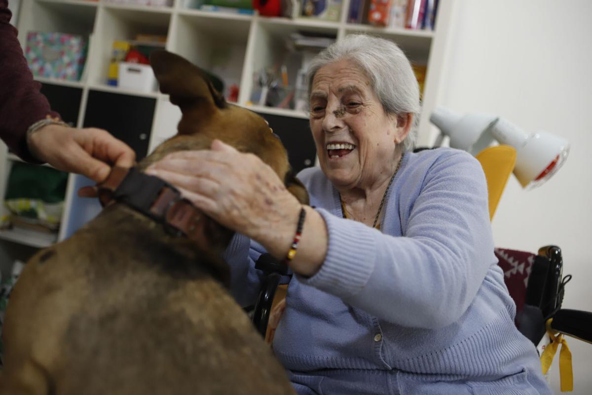 Frida, la perra de terapia asistida en una residencia de Zaragoza