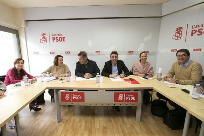 COMISIÓN GESTORA DEL PSOE CANARIAS