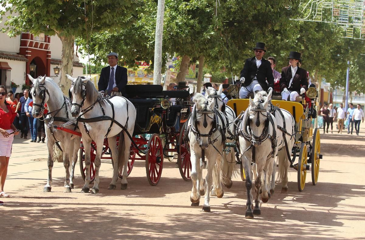 Fotogalería / Miércoles de Feria en Córdoba