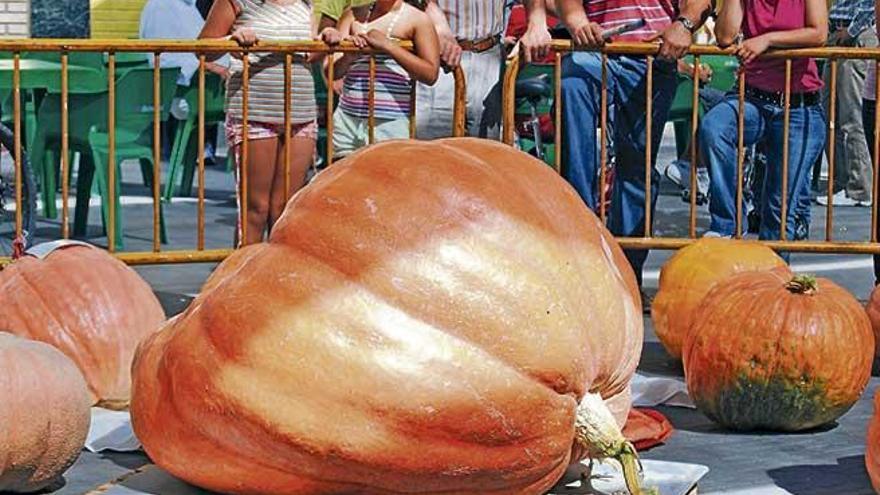 Raoles de calabaza